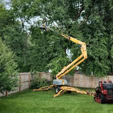 Best Tree Trimming and Pruning  in Plymouth, IN